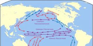 Мировой океан: изучаем океанические течения